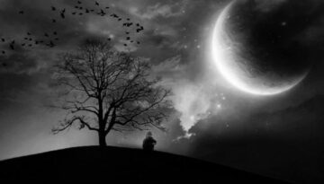 Night Dream Black Nature Moon